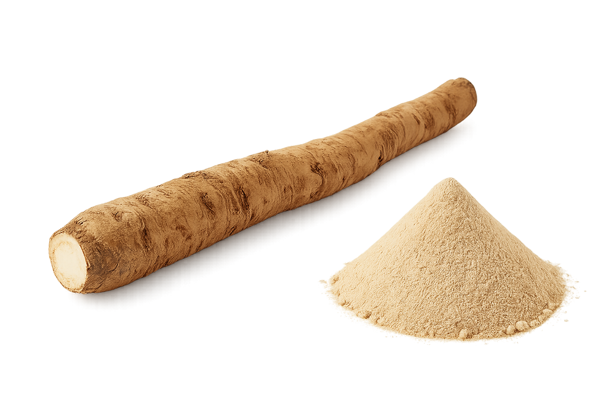 Burdock Root and powder