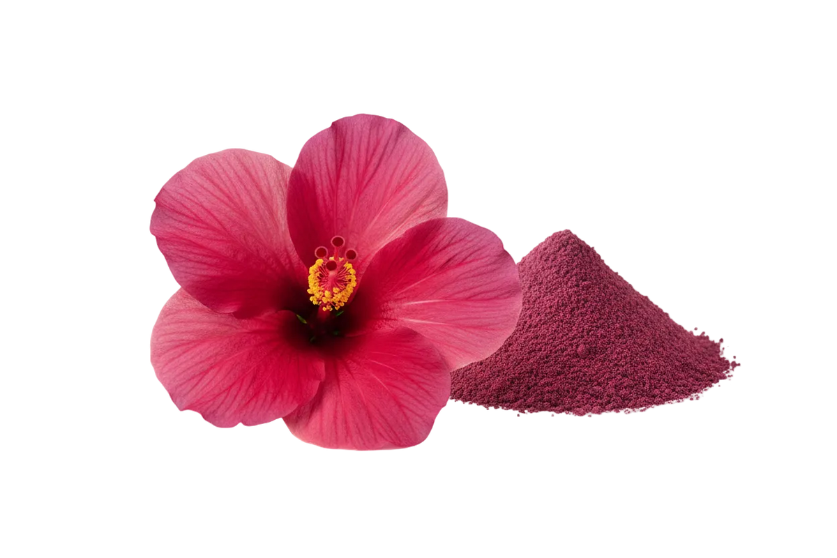 pink hibiscus and powder